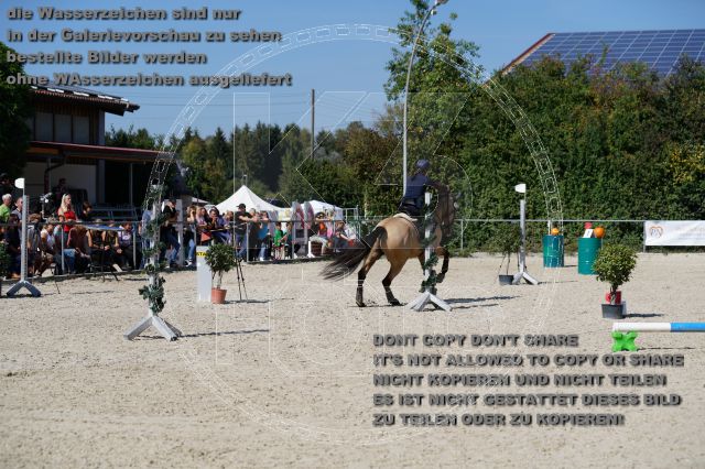 s_K3F03622.JPG